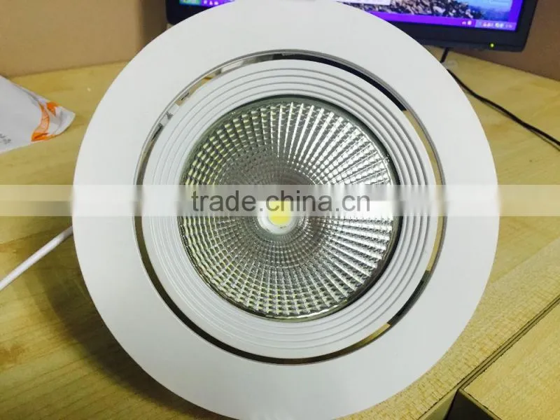 360 Degree Rotatable Aluminum Alloy COB LED Trunk Light 30W for Gallery 220VAC