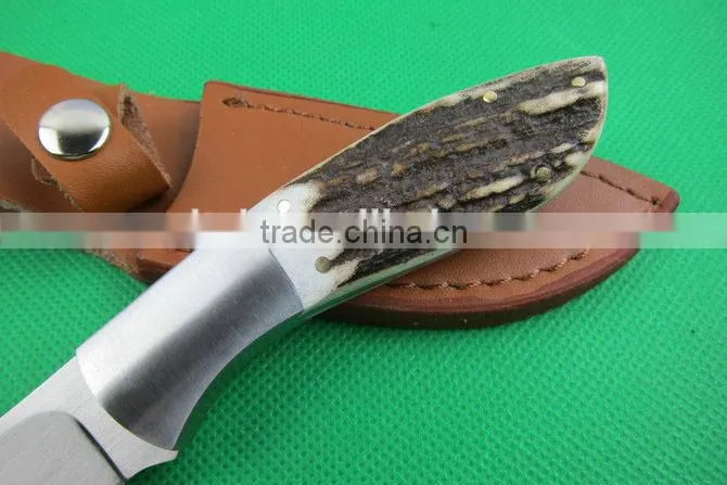 OEM small straight knife, antler handle hunting knife UD401777