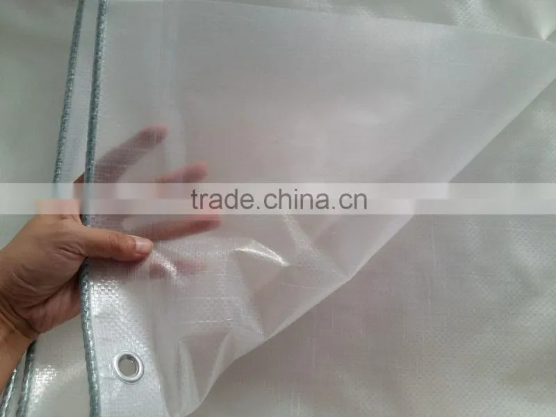 Clear transparent pe laminated fabric grape tree cover