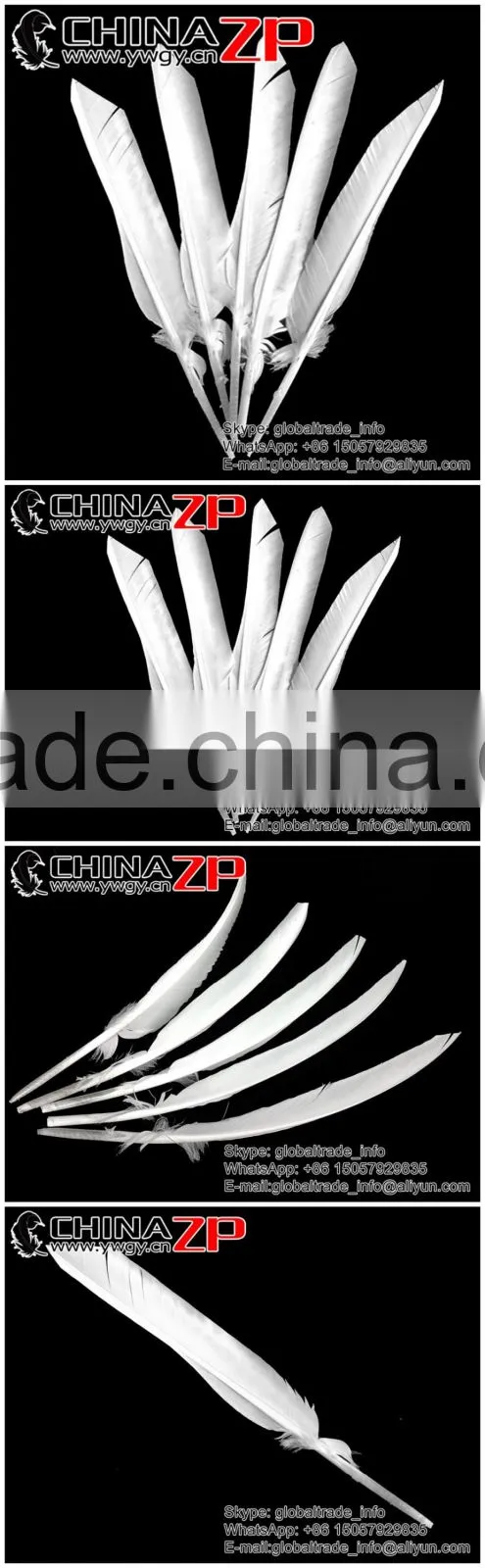 CHINAZP Plumage Supplier Bulk Natural Bleached White Turkey Pointers Quill Large Feathers for Sale