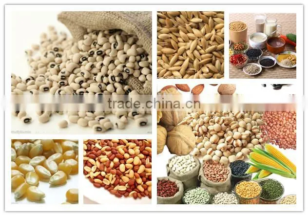 Electric Grinder for Spice