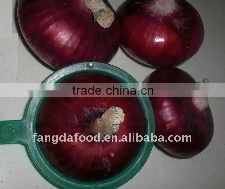lowest price fresh red onion,fresh red big onion