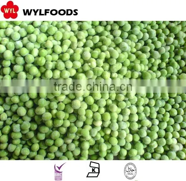 IQF china high quality frozen green peas