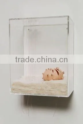 transparent acrylic box wall mounted