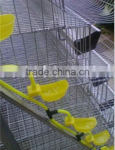 professional quail cage design