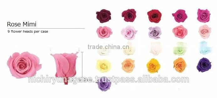 Pretty hydrangea preserved flowers with various species