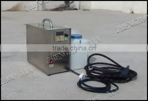 Mini portable steam car wash machine with wholesale price
