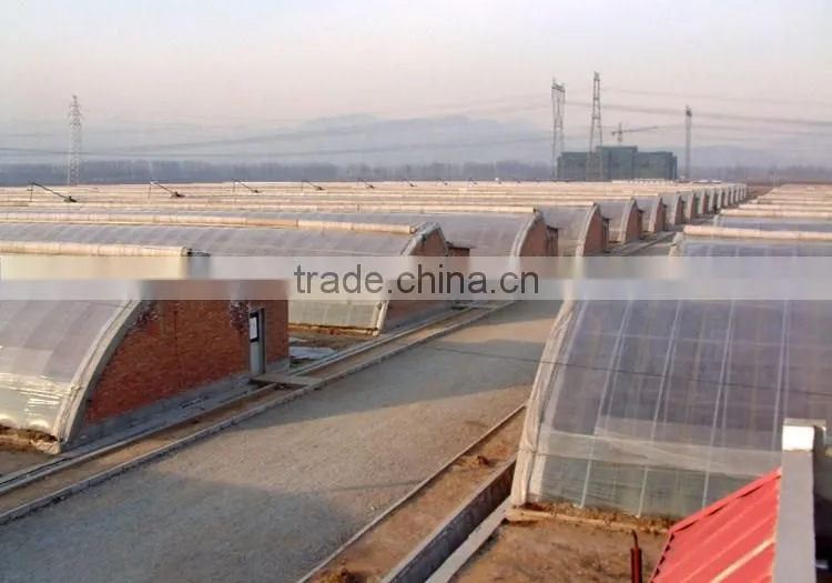 Agricultural single-spansolar lean to greenhouse