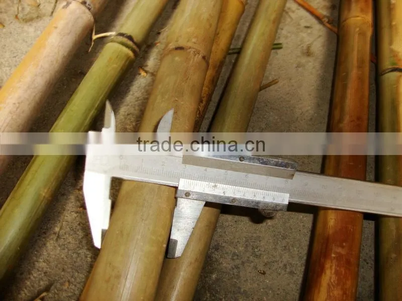 bamboo produce &bamboo cane