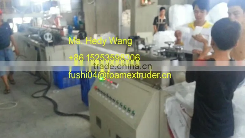 CE & ISO9001 Apple/Guava/Melon/Mango Foam Net Machine