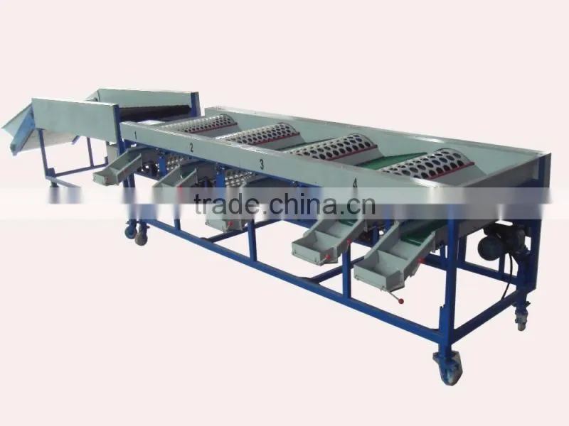 Garlic /Vegetable and Fruit Cleaning and Grading/Sorting machine