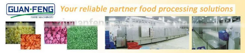 frozen french fries machinery/ automatic french fry machine