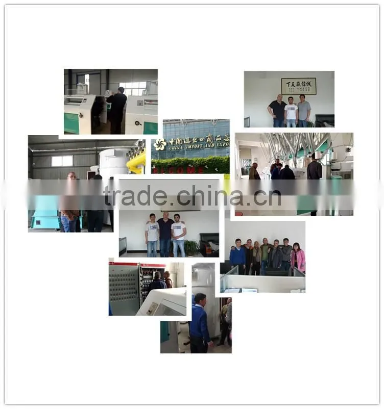 Professional service 200tons wheat flour milling machine