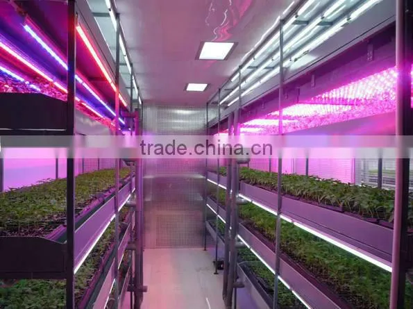 led best selling artificial bulbs 30w high power flower led bulb grow lamps