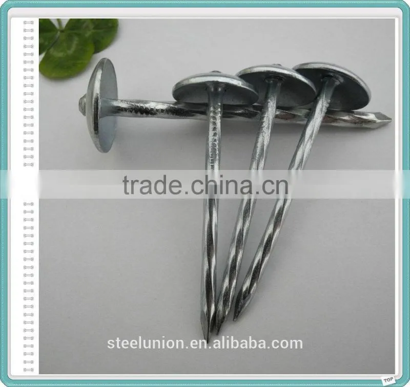 Umbrella Head Galvanized Roofing Nails with Rubber Washer