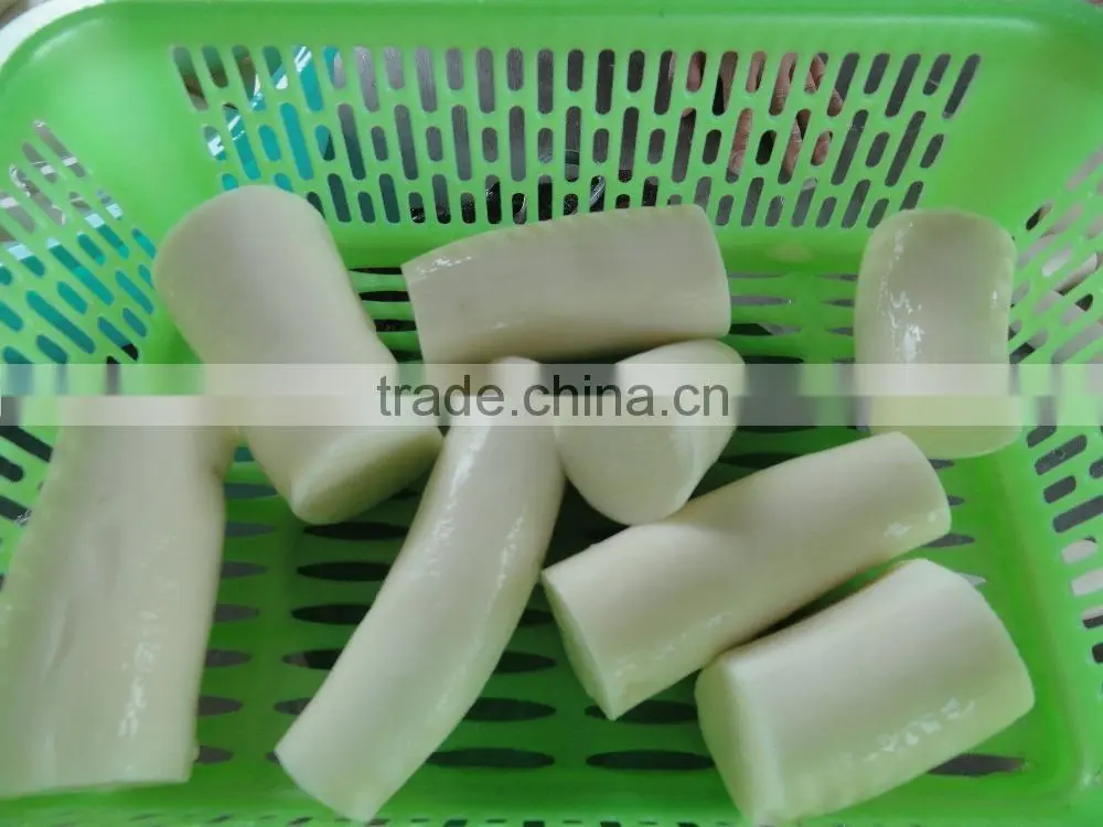 Fresh Cassava Tapioca from Vietnam
