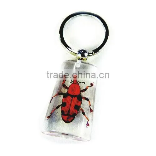 wholesale real flower and insect keychain promotional