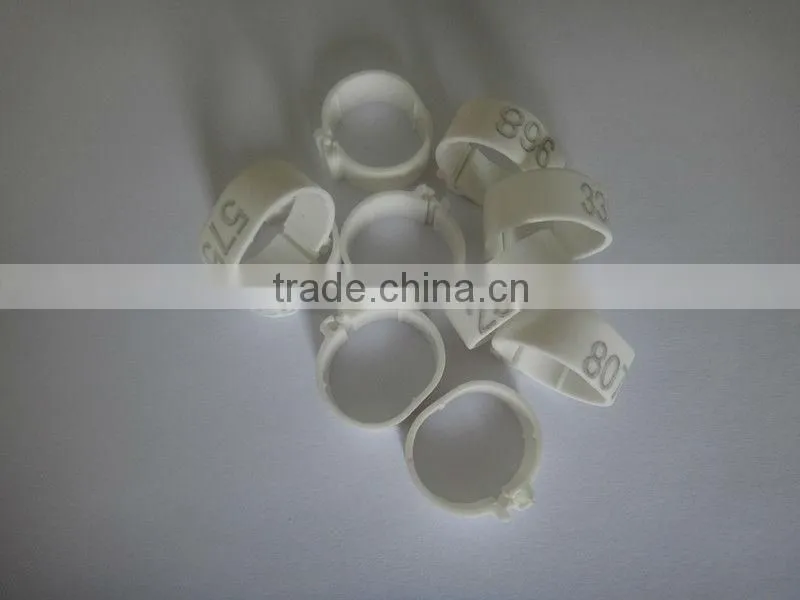 small plastic leg rings to distinguish chicken or birds