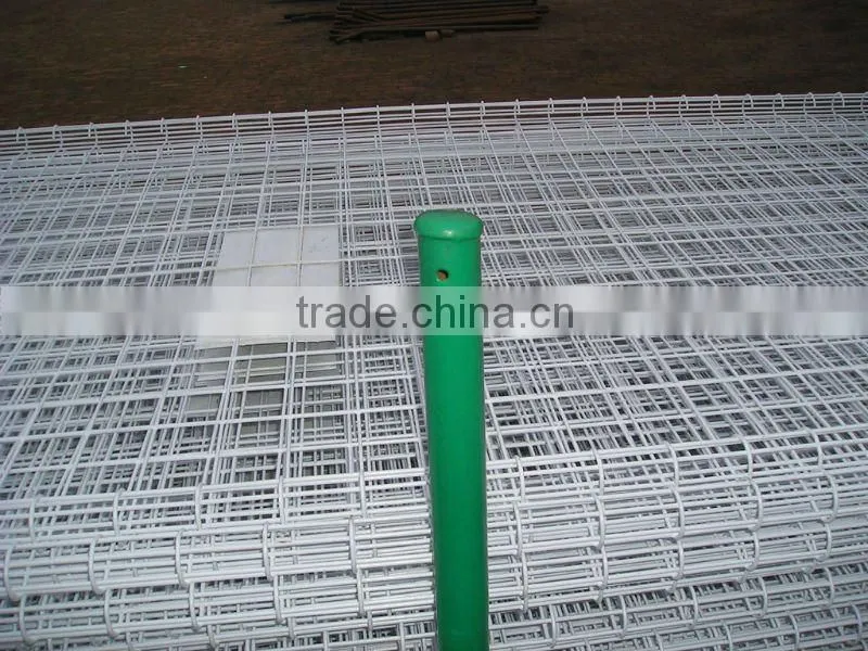 1/4 inch galvanized welded wire mesh