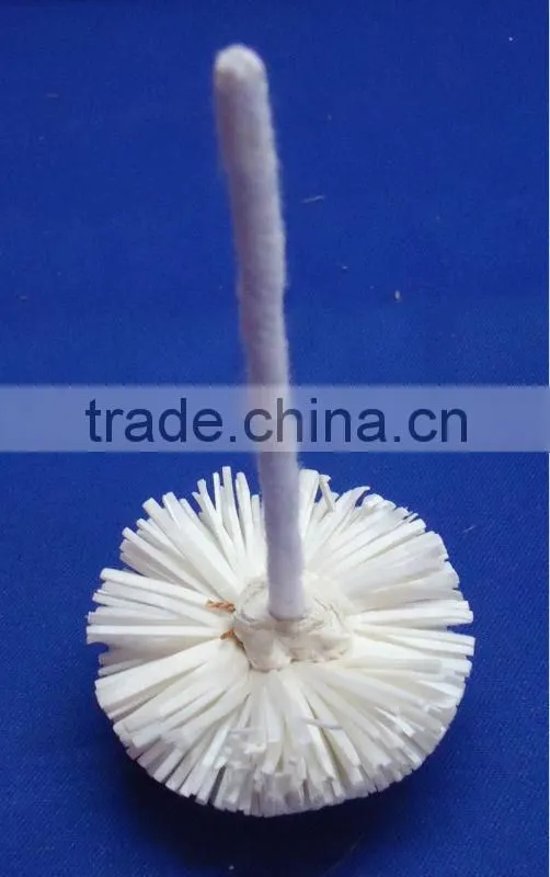 Sola flower