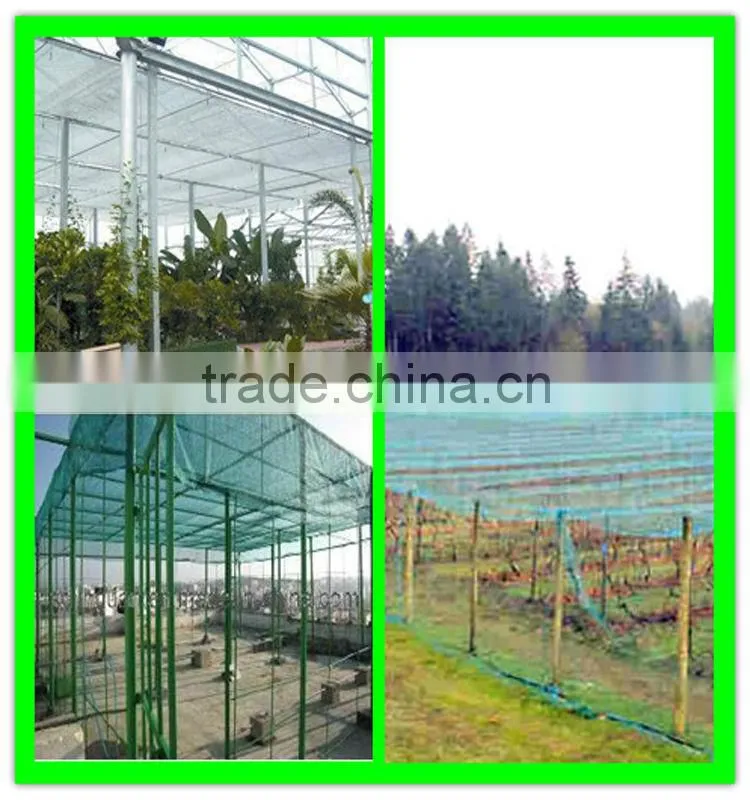 virgin hdpe cultivation anti-insect netting