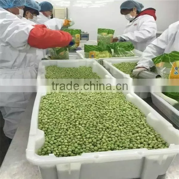 IQF Frozen Sweet Corn Whole Kernels