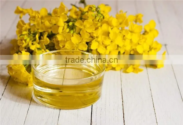wholesale prices export crude rapeseed oil