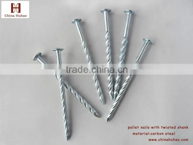 China nail supplies screw shank zinc coated pallet nail