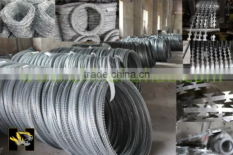 2015 High Quality Hot Sales of Razor Barbed Wire Manufacturer