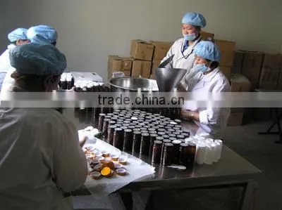bulk seabuckthorn fruit oil with alibaba GMP certified chinese factory supply essential oils