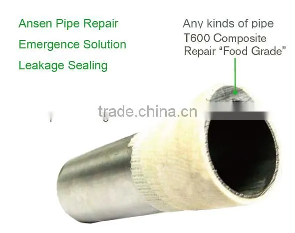 Widely Used in Oil and Gas Pipeline Pipe Repair Kits