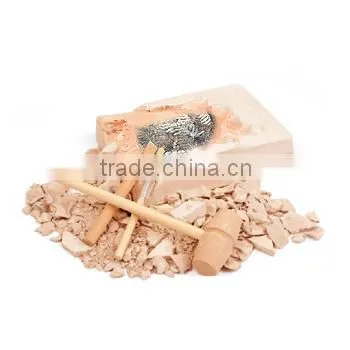 Deluxe Authentic Plant Leaf Fossils Dig Kit