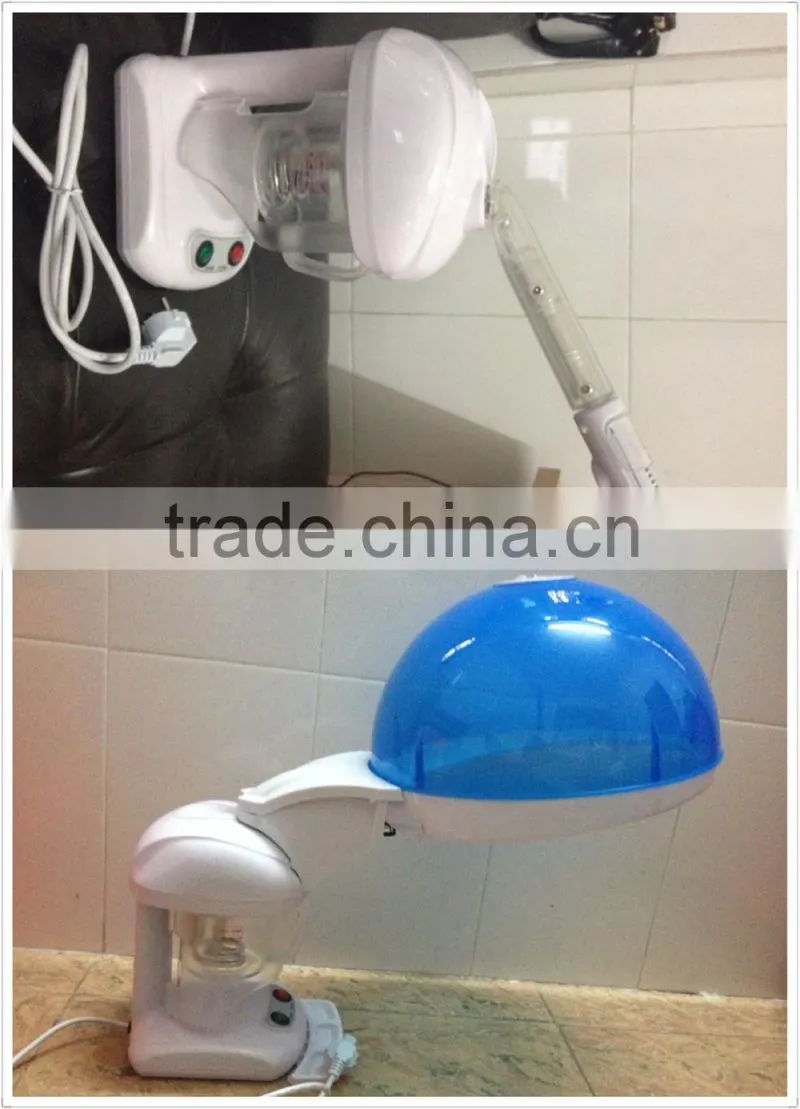 Ozone disinfection of wounds and skin smoothing spray steamer for beauty and health care
