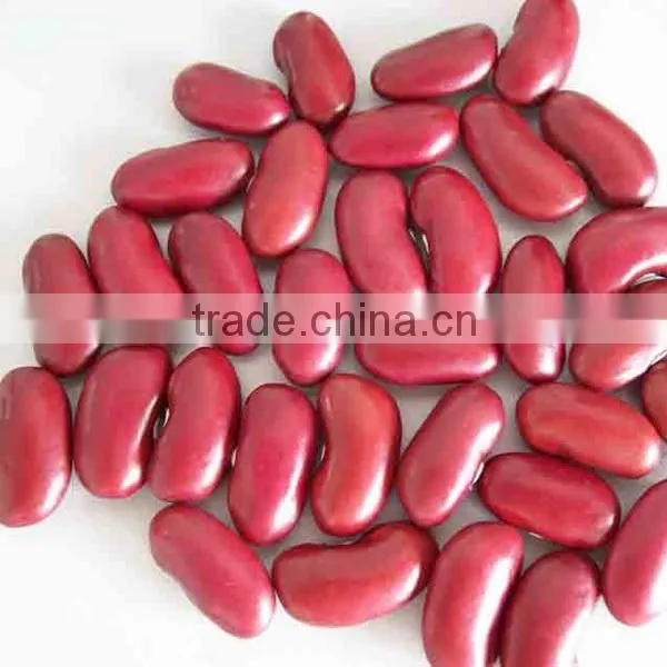 long red wholesale kidney beans with sparkle