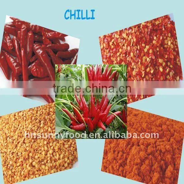 Chili Supplier HOT CHILI POWDER