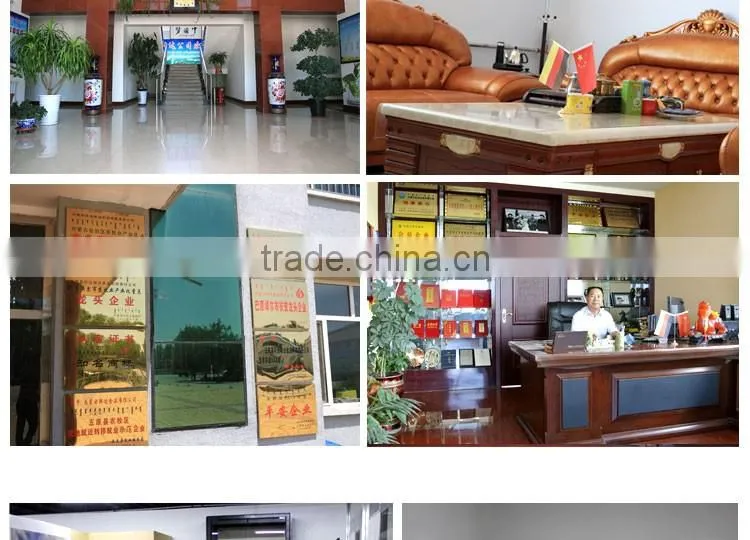 wholesale edible white pumpkin seed price