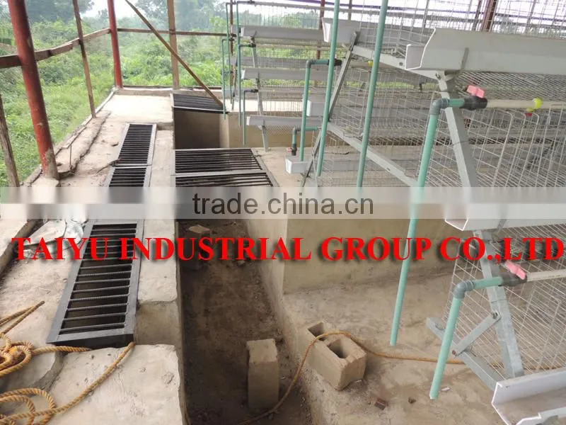 TAIYU Chicken Machine Clean