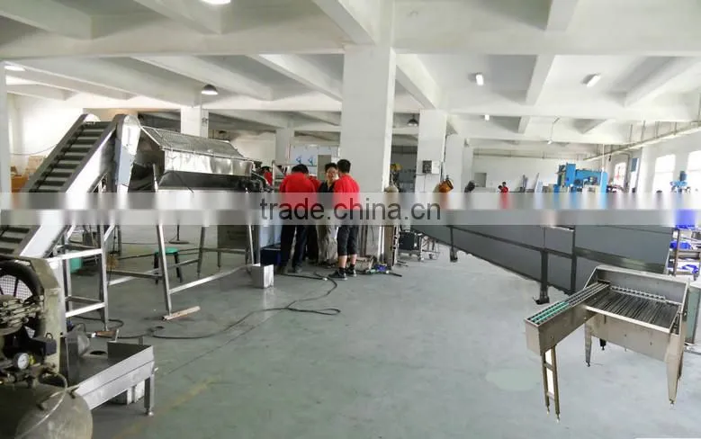 5000 eggs/h and 8000 eggs/h hard boiled egg peeling machine automatic egg peeler