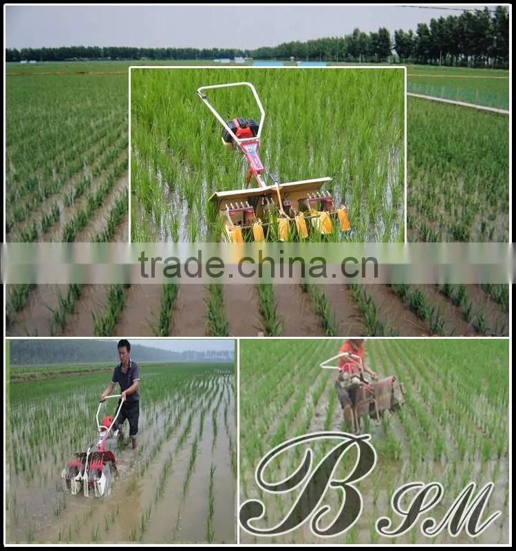 Mini Weeder Rice Paddy Weed Removing Machine / Gasoline engine power paddy weeder