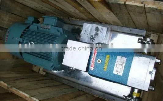3000Litrs per hour High Quality Cam Rotor Pump