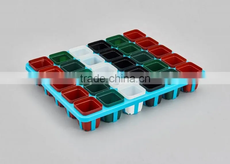 Flower Pot for succulent plant
