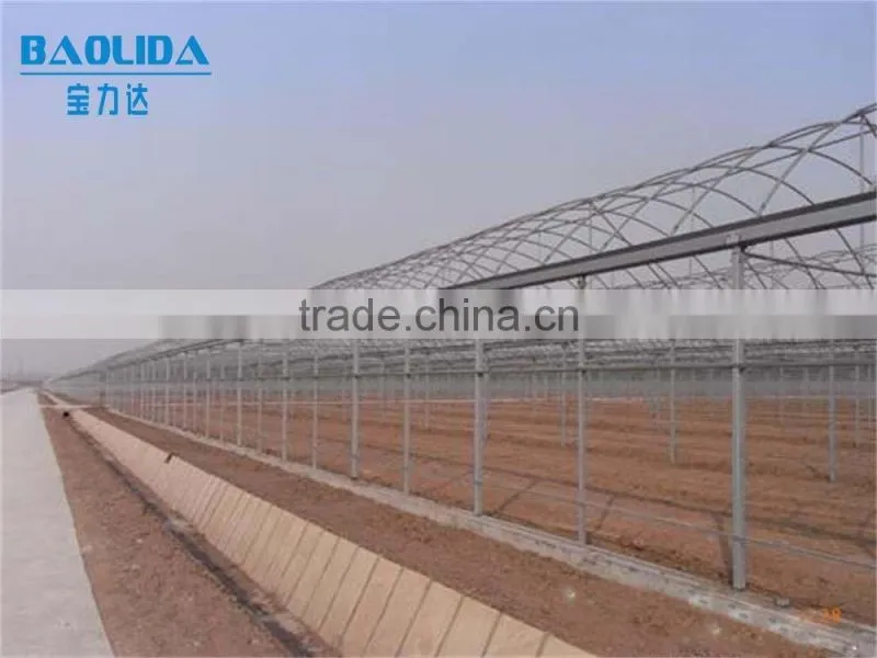 Baolida hot dip galvanized framework polythene greenhouse greenhouse for vegetables and plant