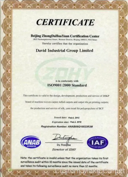 ISO9001 Management Certificate