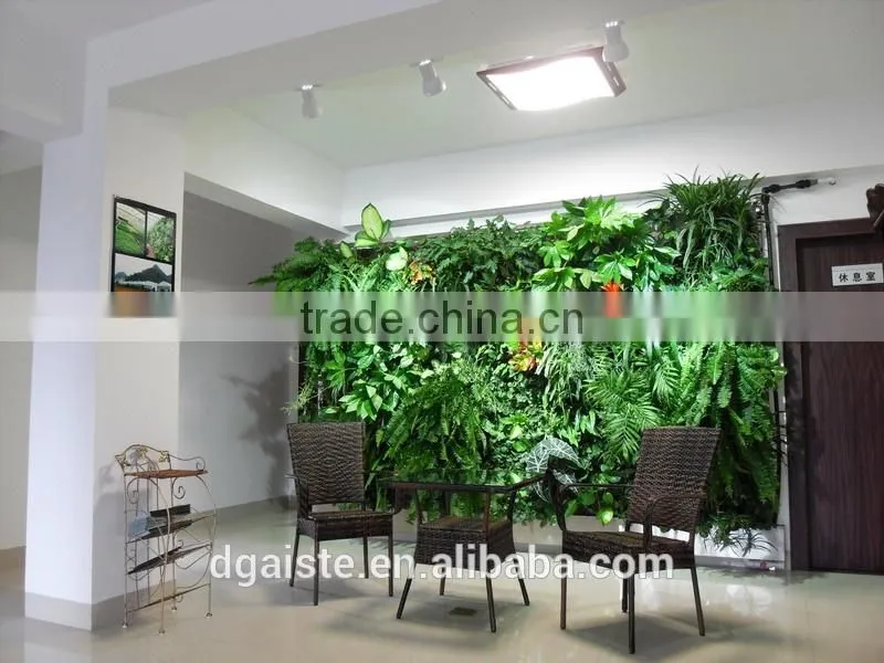 indoor green wall succulent plant or leafy plant combination with the soft foam backing