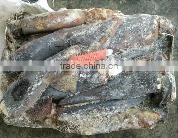 peru squid pangasius fish