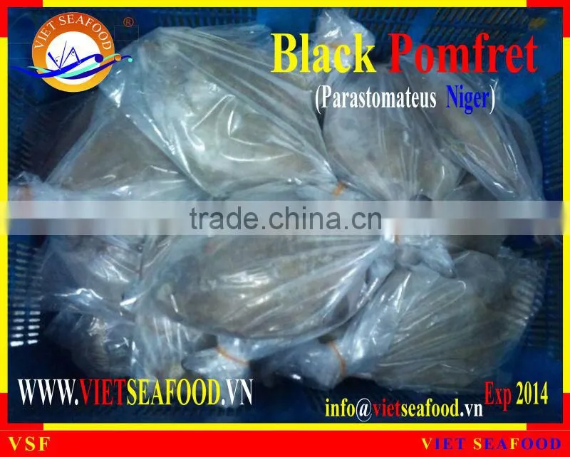 FROZEN BLACK POMFRET WHOLE ROUND