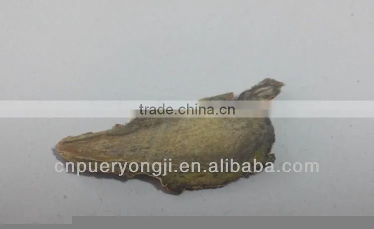 Factory Supply Dietary Supplyment 100% Natural panax Notoginseng P.E. / Wild Radix Notoginseng Extract
