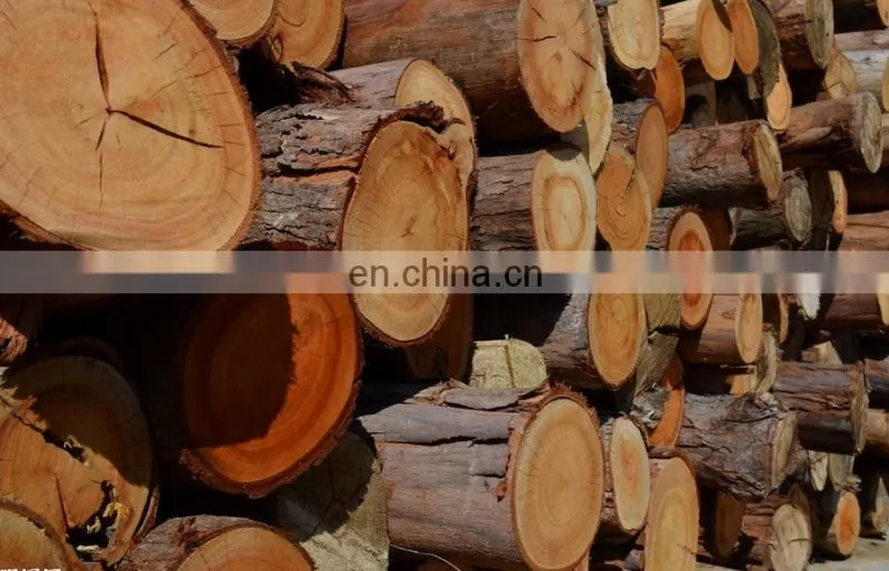 Round log Sliding table saw/ hard wood sliding table saw