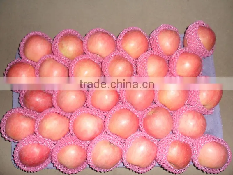 Chinese fresh Yantai Fuji apple fruit supplier