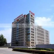 Bgrimm Magnetic Materials & Technology Co., Ltd. company overview - view 1